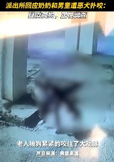 贵州一老人带孩子回家遭恶犬扑咬 派出所：疑似疯狗，已被打死！