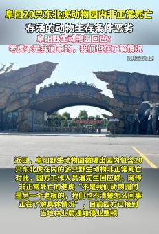 阜阳野生动物园回应20只东北虎死亡