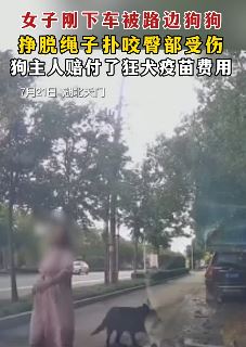 女子被路边大狗挣脱绳子咬伤臀部