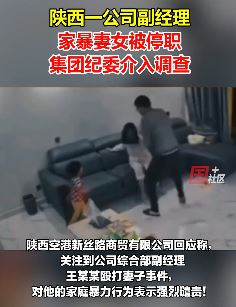 陕西咸阳一公司高管家暴妻女被停职