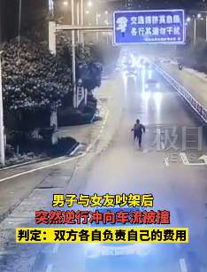 男子与女友吵架后马路逆行奔跑被撞