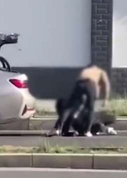 西安宝马男当街殴打女子事件 警方：两人系情侣，女子选择不报警