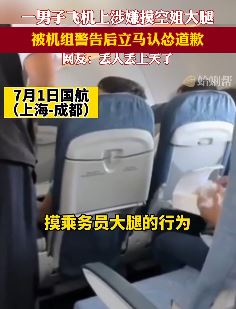 丢人丢上天！男子飞机上摸空姐大腿！