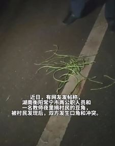 湖南一女老师与2名公职人员夜摘村民豆角起冲突