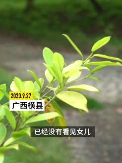 少女浮尸水塘引关注 其父称女儿手机中现不雅视频事有疑点