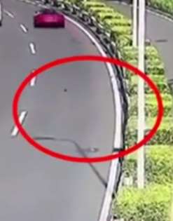 厦门一游客捡到10万元钻戒