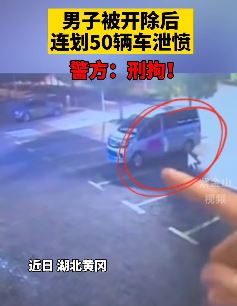 男子被开除后连划50辆车泄愤