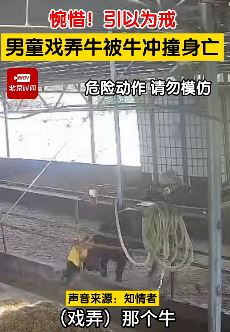 广西来宾一男童戏弄牛被冲撞身亡