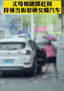 夫妻驾车出行闹矛盾 丈母娘持锤怒砸女婿