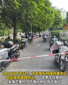 网曝福州一男子爬树采芒果不慎坠地身亡