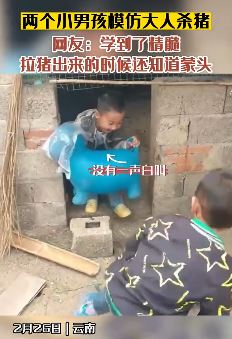 2小男孩模仿大人杀猪走红网络