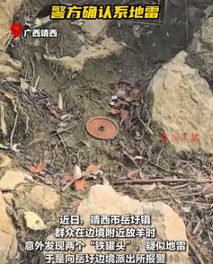 广西靖西一村民放羊发现两个地雷