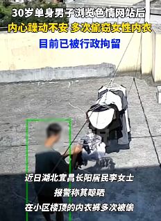 小伙浏览色情网站后偷窃女性内衣被拘