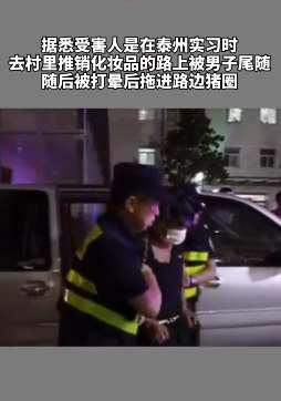 南京女大学生被打晕拖进猪圈奸杀 凶手17年后落网