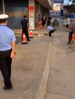 宠物狗当街被打死 城管局称打狗者非城管人员