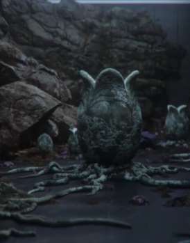 科幻短片《外星生命博物馆》 颠覆你对生命的理解