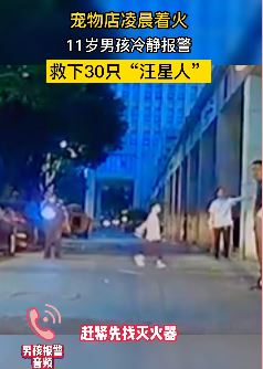 宠物店着火，11岁男孩报警救下30只宠物狗