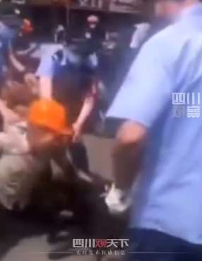 网曝浙江绍兴城管抢夺农民工家养犬 官方：属禁养犬！