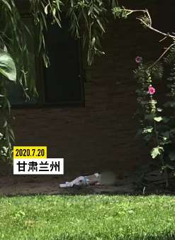 2个多月大婴儿25楼坠亡 警方已介入调查
