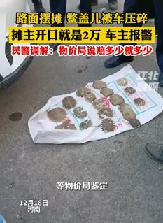 路面摆摊卖鳖盖儿被车压碎 摊主开口要价2万元