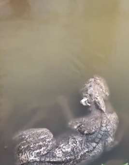 修缮工地挖出镇水石兽,民间传说有保平安之神力!