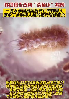 韩国报告首例“食脑虫”病例 通过鼻子吸入后破坏脑组织