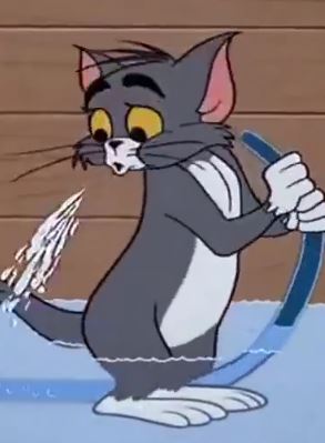 猫和老鼠：汤姆用水管吸出一条鲨鱼！果然又是杰瑞搞鬼！