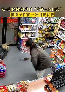 女子店里用扫把打老鼠 猫咪一旁全程看戏