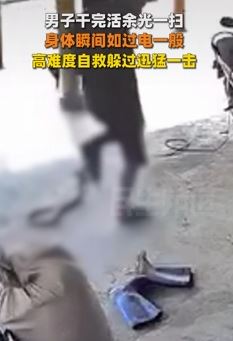 越南一男子干活时险被蛇咬伤