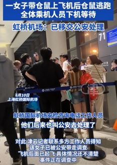 网传女子带仓鼠上飞机后逃跑致航班延误