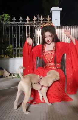 鞠婧祎红衣造型片场与小狗玩耍