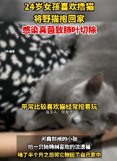 郑州一女孩将野猫抱回家致真菌感染肺叶切除