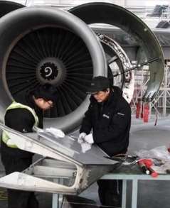 乘客向客机扔硬币致航班取消