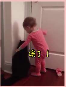 宝宝够不着开门把手，找来猫咪帮忙