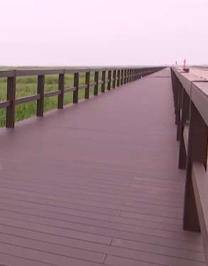 全球最长竹制水上栈道建成 全长4879.7米