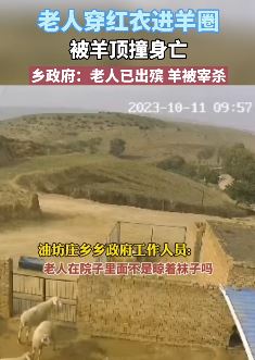 榆林一老人进入羊圈找袜子被羊顶死 涉事羊已被宰杀