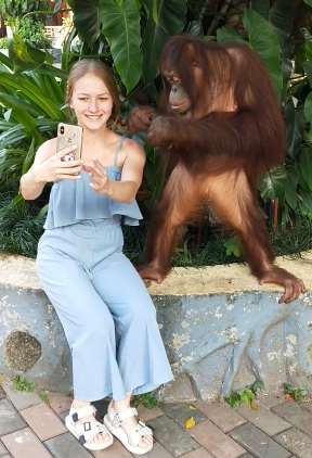 外国女孩与大猩猩亲密互动