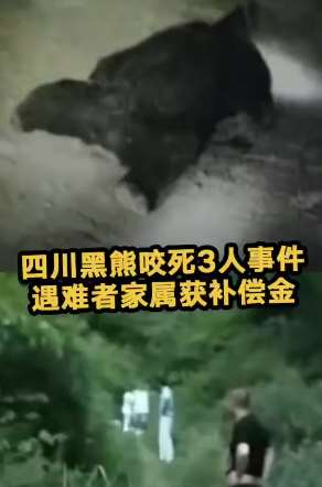 四川被黑熊咬死村民家属获29万补偿