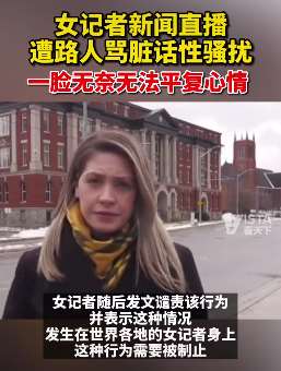 加拿大一女记者直播时遭路人骂脏话