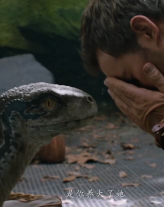 侏罗纪世界三部曲混剪 网友：看的胆战心惊！