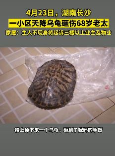长沙一小区天降乌龟砸伤6旬老太