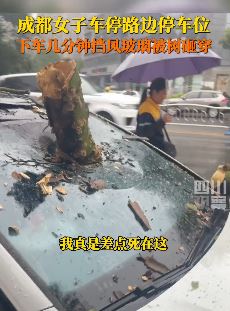 女子车停路边被断裂树干砸穿挡风玻璃 找谁索赔成难题