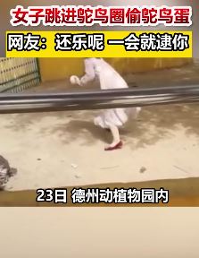 德州一女子偷鸵鸟蛋被抓