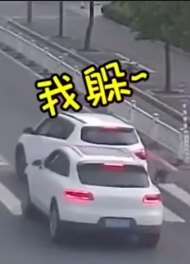 这样的车祸你说赖谁?保时捷:狗,你站住,你全责。 狗:管我什么事?