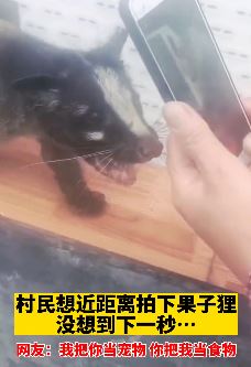 重庆一村民拿手机近距离拍果子狸被咬伤