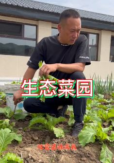 张同学抖音新更:生态菜园建成给大家秀农技