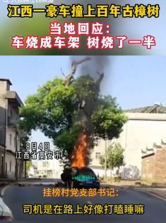 江西高安一玛莎拉蒂撞上百年古樟树后起火