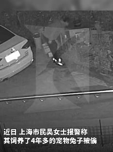 上海一男子深夜盗窃宠物兔当下酒菜被抓