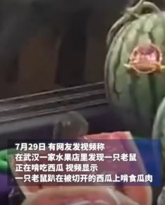 武汉一家水果店有老鼠啃吃西瓜