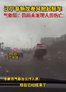 辽宁阜新突现龙卷风 树木倒塌小轿车被掀起